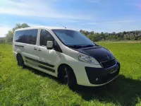 Gebraucht Peugeot TePee 163 PS (119 kW) 2014 Weiß Van / Kleinbus