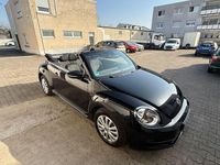 Gebraucht VW Beetle Cabriolet Basis 105 PS (77 kW) 2015 Schwarz Cabrio