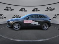 Gebraucht Mazda CX-30 Selection 110 PS (80 kW) 2023 Grau SUV