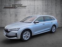 Neu Skoda Octavia Selection 150 PS (110 kW) 2025 Silber Kombi