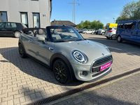 Gebraucht Mini One Cabriolet Chili 102 PS (75 kW) 2020 Grau Cabrio