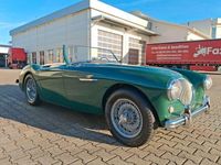 Gebraucht Austin Healey 100 91 PS (66 kW) 1954 Grün Cabrio