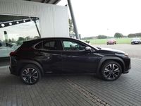 Gebraucht Lexus UX 250h 184 PS (135 kW) 2022 Not provided SUV