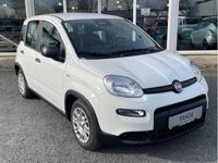 Gebraucht Fiat Panda 69 PS (50 kW) 2024 Weiss Kleinwagen