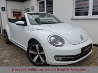 Gebraucht VW Beetle Allstar 105 PS (77 kW) 2016 Weiß Kleinwagen