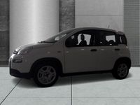gebraucht Fiat Panda 1.0 GSE MY23 Flex Light Paket DAB Klima Freisprech BT el.SP Spieg. beheizbar tei