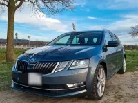Gebraucht Skoda Octavia 150 PS (110 kW) 2017 Grau Kombi