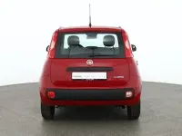 Neu Fiat Panda Connect 70 PS (51 kW) 2025 Passionredmet. Kleinwagen