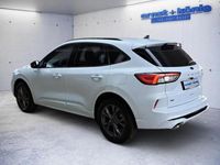 Gebraucht Ford Kuga ST-Line X 120 PS (88 kW) 2023 Frozen white SUV