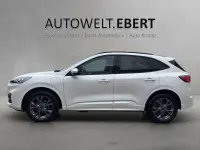 Gebraucht Ford Kuga ST-Line X 224 PS (164 kW) 2023 Arktisweiß () SUV