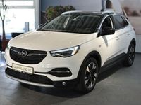 Gebraucht Opel Grandland X Ultimate 131 PS (96 kW) 2020 Weiß metallic SUV