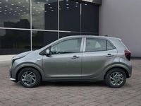 Neu Kia Picanto Vision 63 PS (46 kW) 2025 Astro grey m (grau) Kleinwagen