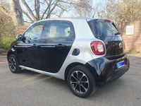 gebraucht Smart ForFour Passion Pano Klima Sitzhz Tempom TÜV/SERVICEneu