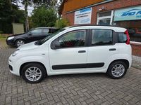 Gebraucht Fiat Panda 69 PS (50 kW) 2014 Weiß Kleinwagen