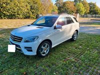 Gebraucht Mercedes ML250 204 PS (150 kW) 2013 Weiß SUV