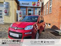 Neu Fiat Panda Red 65 PS (47 kW) 2026 Rot Kleinwagen