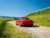 Gebraucht Porsche Cayman S 295 PS (216 kW) 2009 Coupé