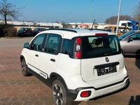 gebraucht Fiat Panda Cross 1.0 GSE Hybrid "Lounch Edition"