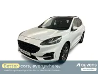 Gebraucht Ford Kuga ST-Line X 152 PS (111 kW) 2023 Weiß SUV