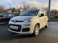 Neu Fiat Panda 69 PS (50 kW) 2025 Schwarz Kleinwagen