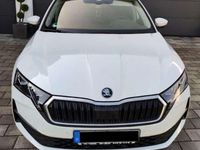 Second-hand Skoda Octavia Selection 150 CP (110 kW) 2025 Alb Break
