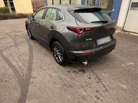 Gebraucht Mazda CX-30 Prime-Line 150 PS (110 kW) 2025 SUV