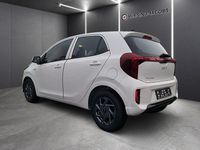 Neu Kia Picanto Vision 68 PS (50 kW) 2025 Weiß Kleinwagen