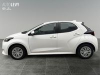 Gebraucht Toyota Yaris Hybrid Business Edition 116 PS (85 kW) 2022 Weiß Kleinwagen
