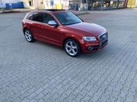 gebraucht Audi SQ5 3.0 TDI /Panorama/Kamera/LED/AHK