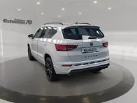 Neu Cupra Ateca 190 PS (139 kW) 2026 Weiß SUV