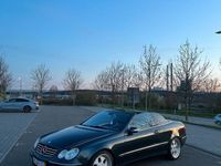 gebraucht Mercedes CLK240 • Avantgarde • TÜV NEU • LPG