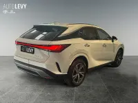 Neu Lexus RX450h+ Business Edition 292 PS (214 kW) 2026 Weiß SUV
