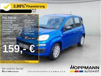Gebraucht Fiat Panda 65 PS (47 kW) 2025 Blau Kleinwagen
