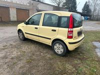 Gebraucht Fiat Panda 60 PS (44 kW) 2009 Gelb Kleinwagen