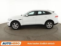 Gebraucht Jaguar F-Pace Prestige 179 PS (131 kW) 2019 Weiß SUV