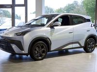 Neu BYD Dolphin Boost 64 kW (88 PS) 2025 Blau Kleinwagen