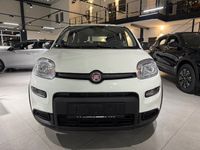 Gebraucht Fiat Panda 69 PS (50 kW) 2024 Weiss) (weiss Kleinwagen