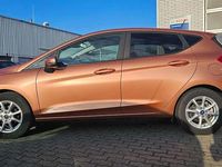 Gebraucht Ford Fiesta Active 140 PS (102 kW) 2018 Bronze Kleinwagen
