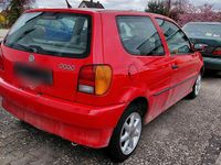 Usata VW Polo 65 CV (47 kW) 1996 Rosso Utilitaria