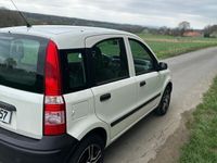 gebraucht Fiat Panda 1,1 l top gepflegt