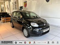 Gebraucht Fiat Panda 69 PS (50 kW) 2024 Schwarz Kleinwagen