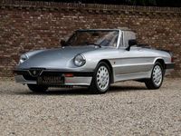 Gebraucht Alfa Romeo Spider Quadrifoglio Verde 1988 Grau Cabrio