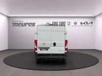 Neu Opel Movano 140 PS (102 kW) 2025 Weiss Van