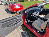 Gebraucht Ford Focus Cabriolet 145 PS (106 kW) 2008 Rot Cabrio