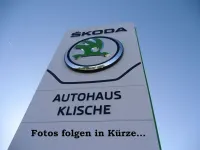 Gebraucht Skoda Karoq Ambition 150 PS (110 kW) 2019 Grau SUV