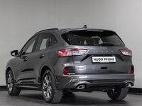 Gebraucht Ford Kuga ST-Line 150 PS (110 kW) 2023 Magnetic metallic SUV