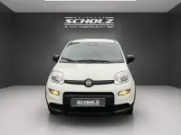 Usata Fiat Panda 70 CV (51 kW) 2024 Bianco Utilitaria