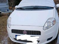 Gebraucht Fiat Punto 65 PS (47 kW) 2009 Weiß Kleinwagen