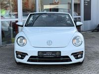 Gebraucht VW Beetle Cabriolet Sound 105 PS (77 kW) 2017 Weiß Cabrio