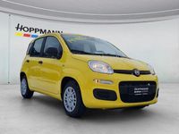 Neu Fiat Panda Icon 69 PS (50 kW) 2026 Gelb Limousine